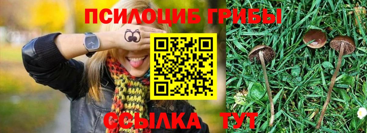 Псилоцибиновые грибы Magic Shrooms Саранск