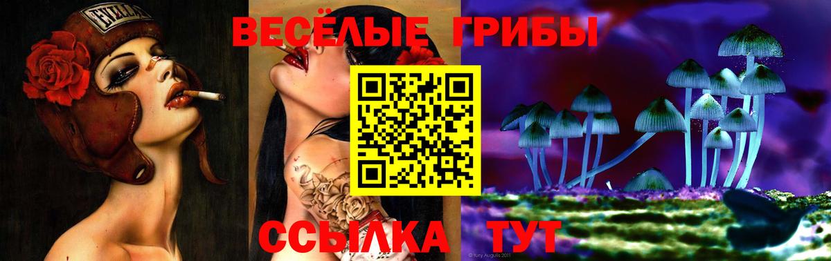 Галлюциногенные грибы Psilocybine cubensis  Псилоцибиновые грибы MAGIC MUSHROOMS  Вход с VPN  Саранск 